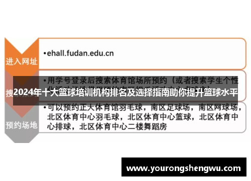 2024年十大篮球培训机构排名及选择指南助你提升篮球水平