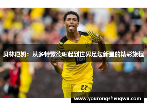贝林厄姆：从多特蒙德崛起到世界足坛新星的精彩旅程