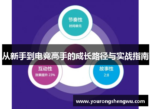 从新手到电竞高手的成长路径与实战指南