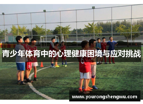 青少年体育中的心理健康困境与应对挑战