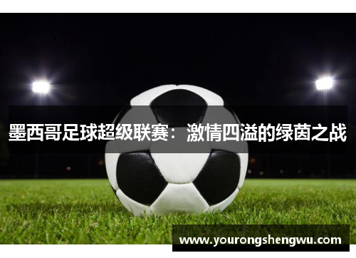 墨西哥足球超级联赛：激情四溢的绿茵之战